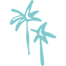 logo of Dorsal Bracelets