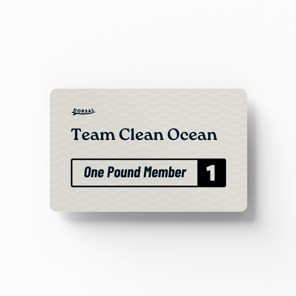 Team Clean Ocean.